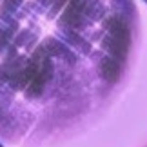 Meet your Posher, Bella